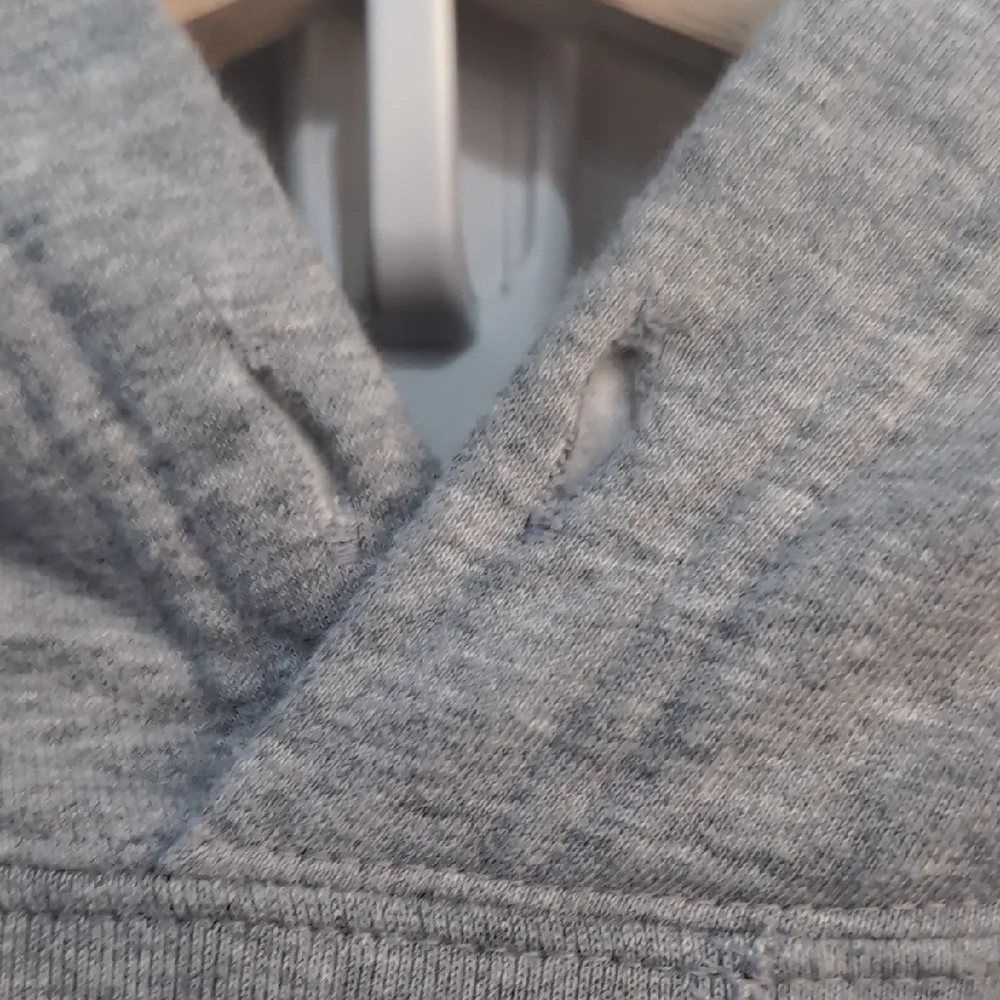Polo by Ralph Lauren Logo Hoodie Gray Colorful 
